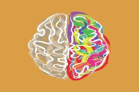 Neuropsicología cognitiva