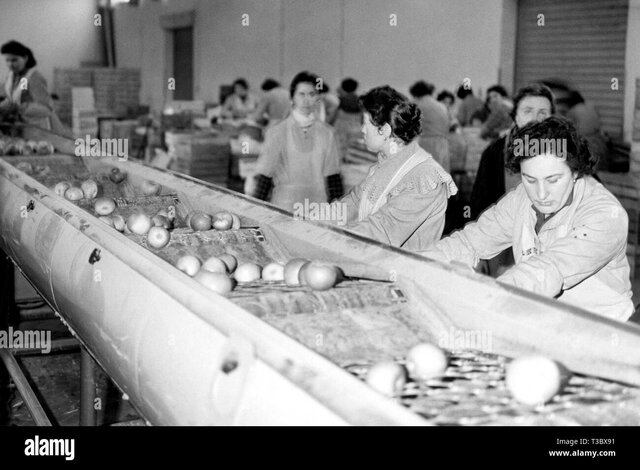 El pensamiento crítico en las juventudes mexicanas