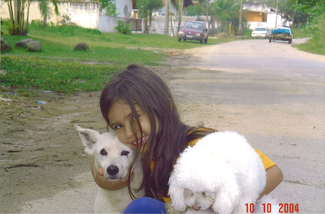 eu e meus cachorros !