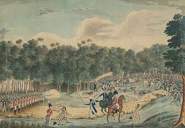 The Castle Hill Rebellion