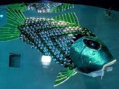 le robot poisson essex