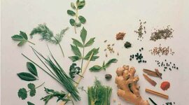 Timeline: Antecedentes históricos de la Medicina Alternativa y sus Terapias Complementarias