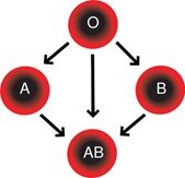 Medicina del siglo XX