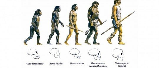 Teoría de la Evolución