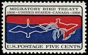 Migratory Bird Act