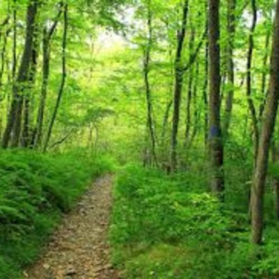 Timeline: Historia del siglo XIX