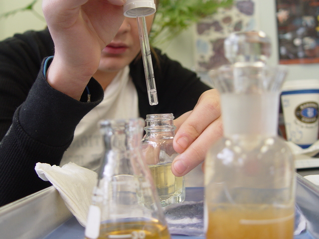 Chapter 6: The Protists