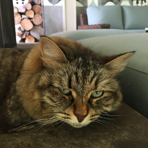 November 19, 1990 CFE Treaty