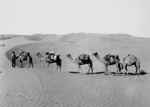 Exploration of the Simpson Desert