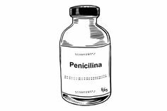 Penicilina