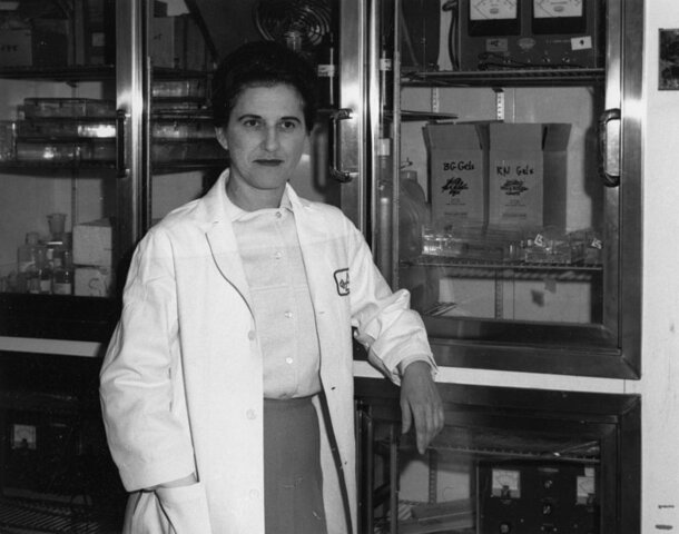 The first genetically modified animal