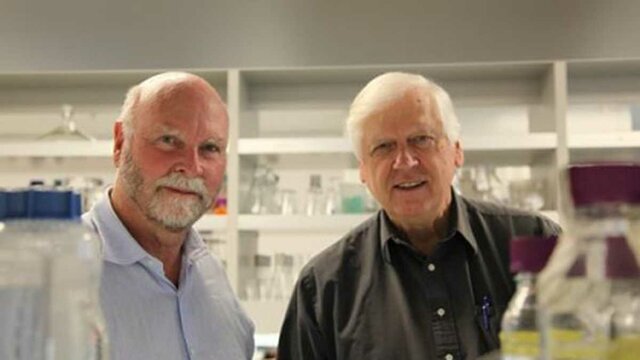 The first synthetic bacterial genome