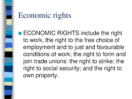 Economic Rights