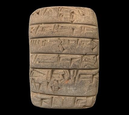 Primeros conocimientos