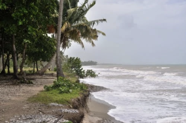 Naissance du paternel