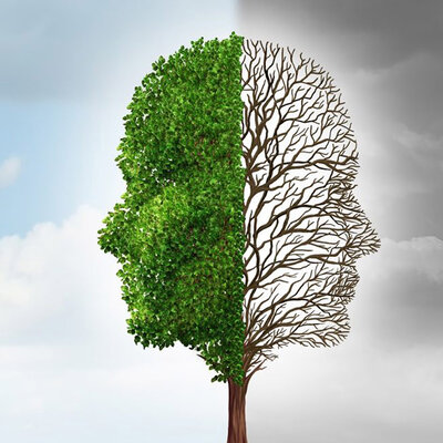 Timeline: История становления психологии