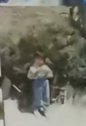 MIS TRES (3) AÑOS