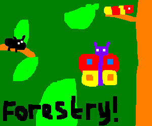 What we will do this lesson: