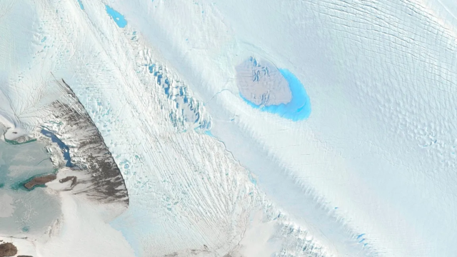 Teoría de "La Vida Bajo el Hielo"