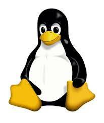 Nasce Linux
