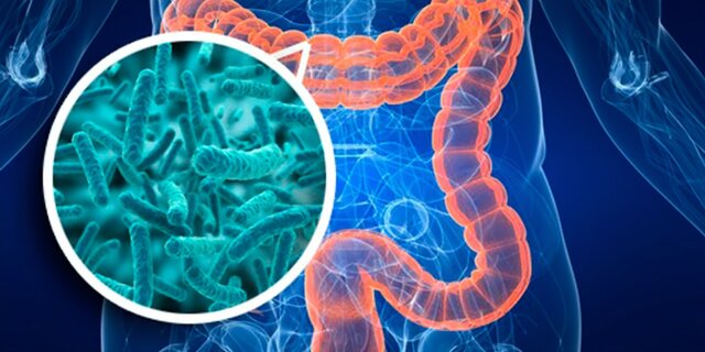 Epidemiología molecular