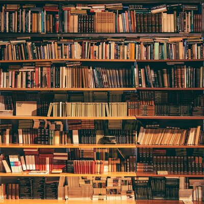 Timeline: Independant Reading Log