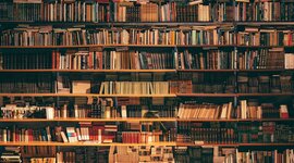 Timeline: Independant Reading Log