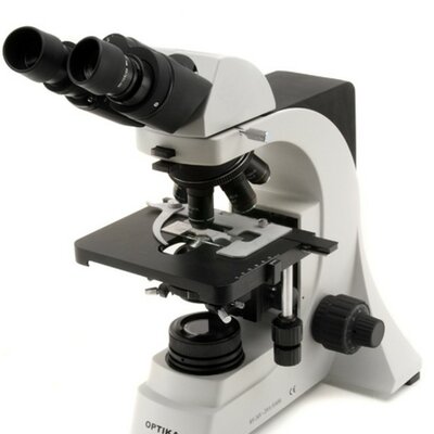 Timeline: HISTORIA DE LA MISCROSCOPIA