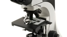 Timeline: HISTORIA DE LA MISCROSCOPIA