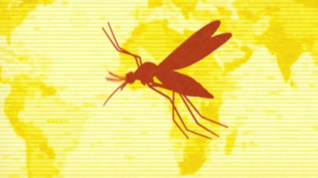 Vacuna contra Fiebre Amarilla