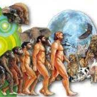 Timeline: teorias evolutivas