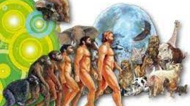 Timeline: teorias evolutivas