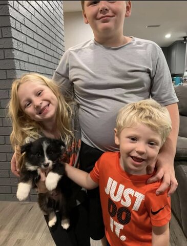 40-44 Months- Content(Semantics)