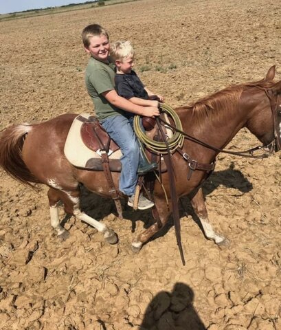 48-52 Months-Content(Semantics)