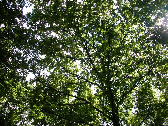 How much do you know?