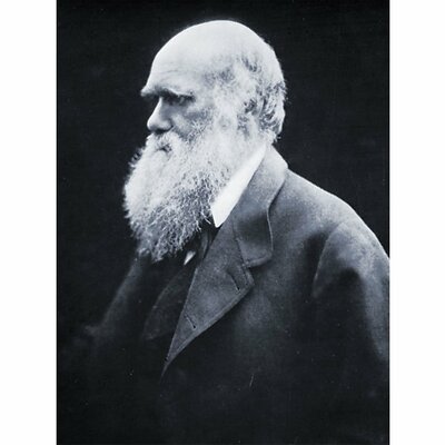 Timeline: Charles Darwin ( February 12, 1809- April 19, 1882)