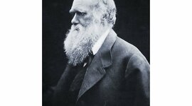 Timeline: Charles Darwin ( February 12, 1809- April 19, 1882)