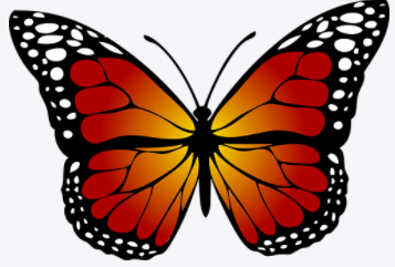 Transformation and Action