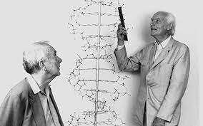The discovery of the Double Helix
