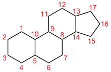 Heinrich Otto Wieland y Adolf Windaus