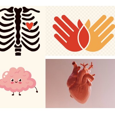 Timeline: Eje Cronológico de la historia de fisioterapia