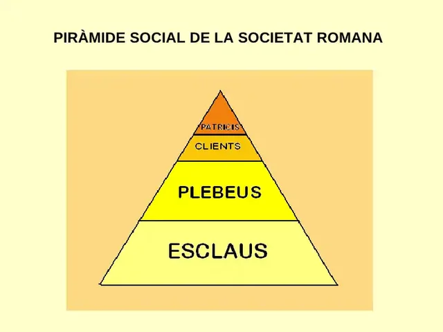 Vida i societat