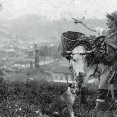 Timeline: La colonización antioqueña