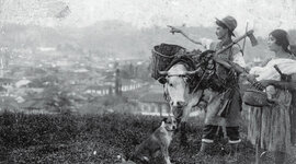 Timeline: La colonización antioqueña