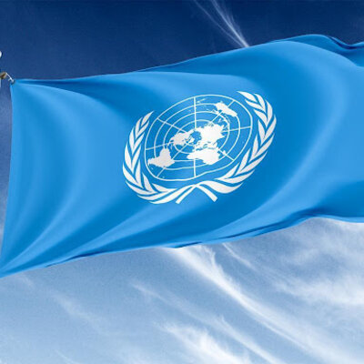 Timeline: La convenzione internazionale sui diritti dei bambini Giulia e Zoe 4a