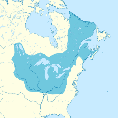 Timeline: Projet d'histoire