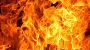 mongols burn bagadad