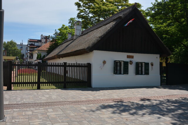 Petőfi Sándor születése