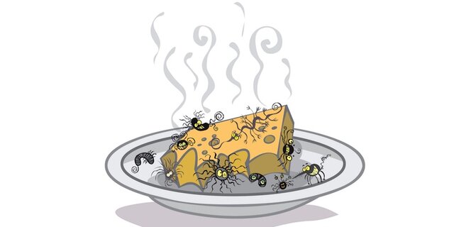 LA GENERACIÓ ESPONTANEA