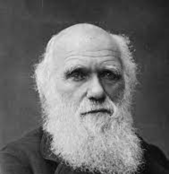 Charles Darwin evolución.
